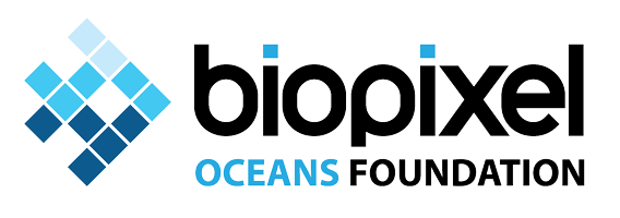 Biopixel Oceans Foundation
